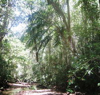 Mount Lewis National Park - Hotel Gold Coast