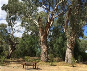 Bob Christensen Reserve - Hotel Gold Coast 2