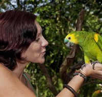 Birdworld Kuranda - Hotel Gold Coast