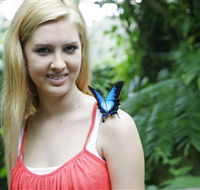 Australian Butterfly Sanctuary - Hotel Gold Coast