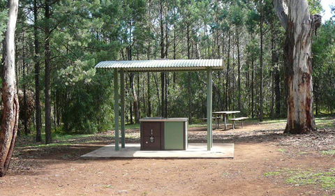 Jacks Creek Walking Track - Hotel Gold Coast 1