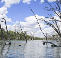Murrumbidgee Valley National Park