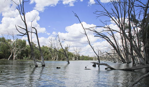 Murrumbidgee Valley National Park - Hotel Gold Coast 0