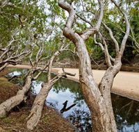 Oyala Thumotang National Park CYPAL - Hotel Gold Coast