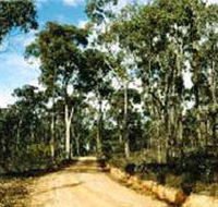 Paddys Ranges State Park - Hotel Gold Coast