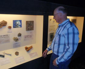 Big Fish Fossil Hut At Peak Hill - Hotel Gold Coast 1