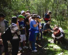 Warrumbungle National Park Discovery Program - Hotel Gold Coast 0