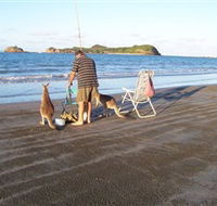 Cape Hillsborough National Park - Hotel Gold Coast