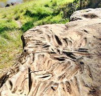 Terramungamine Rock Grooves - Hotel Gold Coast