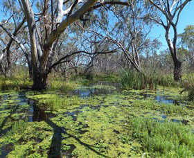 Macquarie Valley Trails - Hotel Gold Coast 0