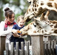 Taronga Western Plains Zoo Dubbo - Hotel Gold Coast