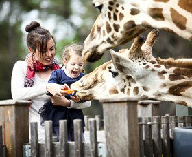 Taronga Western Plains Zoo, Dubbo - Hotel Gold Coast 0