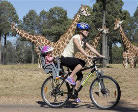 Taronga Western Plains Zoo, Dubbo - Hotel Gold Coast 2