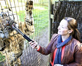 Taronga Western Plains Zoo, Dubbo - Hotel Gold Coast 3