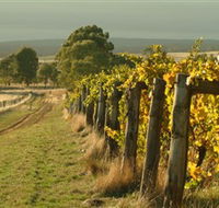 Captains Creek Organic Wines - Hotel Gold Coast
