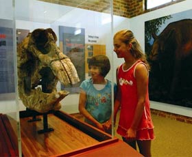 Australian Museum Diprotodon Exhibition - Hotel Gold Coast 0