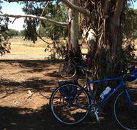 Murchison Rail Trail - Hotel Gold Coast