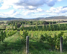 Sassy Wines - Hotel Gold Coast 0