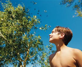 Bushwalking On Keswick Island - Hotel Gold Coast 0