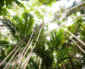 Bushwalking On Keswick Island - Hotel Gold Coast 1