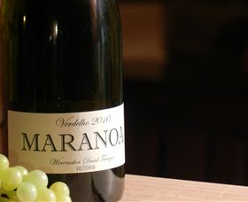 Baptista - David Traeger - Hotel Gold Coast 0