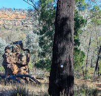 Eualdrie walking track - Hotel Gold Coast