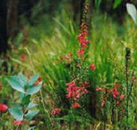 Enfield State Park - Hotel Gold Coast