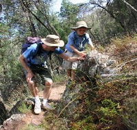 Mount Arthur Reserve - Hotel Gold Coast