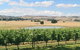 Grange Cleveland Winery - thumb 0
