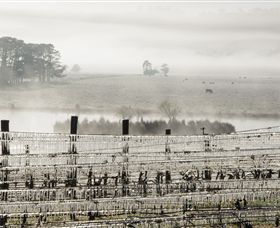 Grange Cleveland Winery - Hotel Gold Coast 7