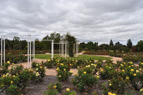 Australian Inland Botanic Gardens - Hotel Gold Coast 0