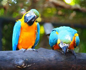 The Rockhampton Zoo - Hotel Gold Coast 2