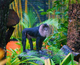 The Rockhampton Zoo - Hotel Gold Coast 3