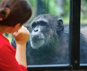 The Rockhampton Zoo - Hotel Gold Coast 0