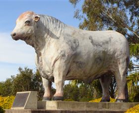 Rockhampton Bull Statues - Hotel Gold Coast 1