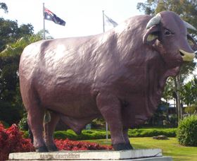 Rockhampton Bull Statues - Hotel Gold Coast 0