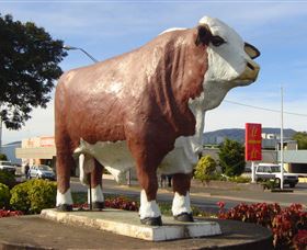 Rockhampton Bull Statues - Hotel Gold Coast 2