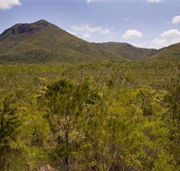 Kutini-Payamu Iron Range National Park CYPAL - Hotel Gold Coast