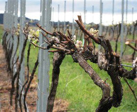 Stockmans Ridge Wines - Hotel Gold Coast 2