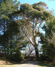 Habitat Vineyard - Hotel Gold Coast 1