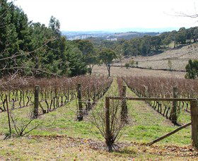 Habitat Vineyard - Hotel Gold Coast 0