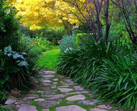 Out Of Town Nursery And Humming Garden - Hotel Gold Coast 2