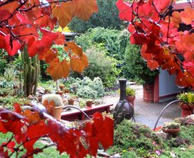 Out Of Town Nursery And Humming Garden - Hotel Gold Coast 1