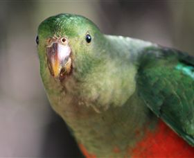 Out Of Town Nursery And Humming Garden - Hotel Gold Coast 3