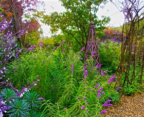 Out Of Town Nursery And Humming Garden - Hotel Gold Coast 7