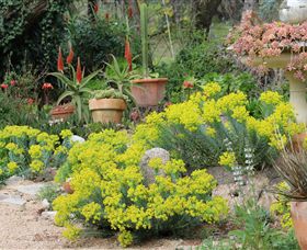 Out Of Town Nursery And Humming Garden - Hotel Gold Coast 8