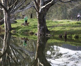 Albury - Murray River Precinct - Hotel Gold Coast 3