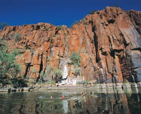 Python Pool - Hotel Gold Coast 1