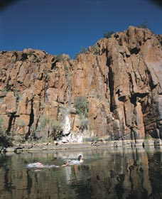 Python Pool - Hotel Gold Coast 3
