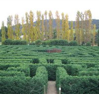 Brookfield Maze